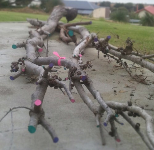 1025634_10151679222156438_991434516_o